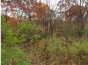 LOT 27 Forest Hill Lane, Boscobel, WI 53805