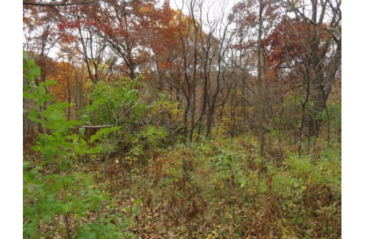 LOT 27 Forest Hill Lane, Boscobel, WI 53805