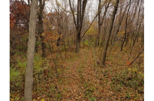 LOT 27 Forest Hill Lane, Boscobel, WI 53805