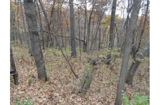 LOT 27 Forest Hill Lane, Boscobel, WI 53805