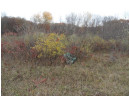 LOT 27 Forest Hill Lane, Boscobel, WI 53805