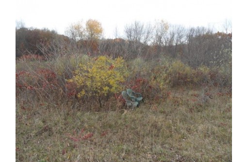 LOT 27 Forest Hill Lane, Boscobel, WI 53805