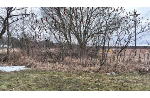 LOT Highway 21, Redgranite, WI 54970