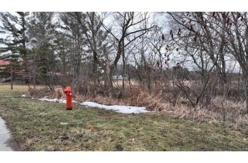 LOT Highway 21, Redgranite, WI 54970