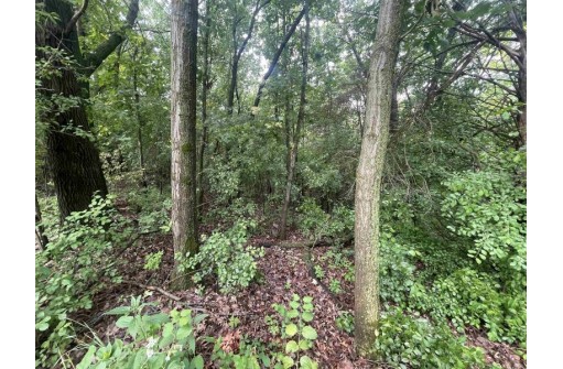 LOT 6 & 7 Elizabeth Court, Markesan, WI 53946