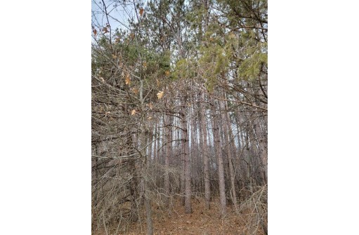 LOT 3 Edwards Lane, Brodhead, WI 53520-9999