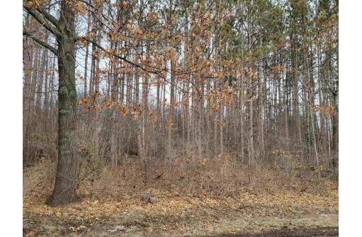 LOT 2 Edwards Lane, Brodhead, WI 53520-9999