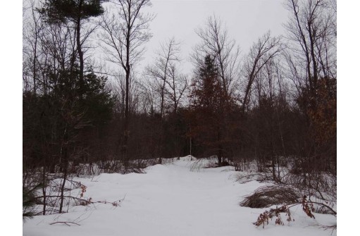 N10123 Old 95 Road, Merrillan, WI 54754