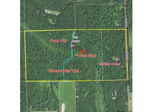 N10123 Old 95 Road Merrillan, WI 54754