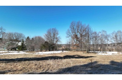 LOT 2 Asbach Street, Redgranite, WI 54970