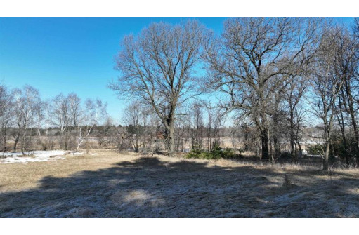 LOT 2 Asbach Street, Redgranite, WI 54970