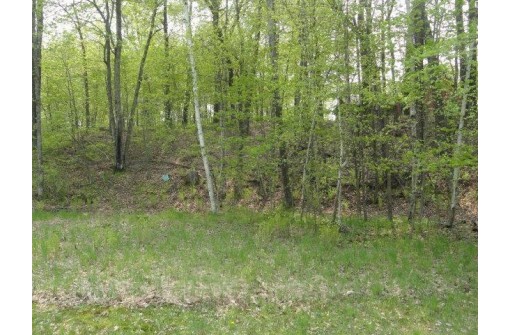 1384A Rain Dance Trail, Nekoosa, WI 54457