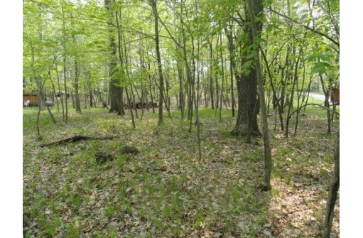 1384A Rain Dance Trail, Nekoosa, WI 54457