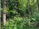 LOT 11 County Road J/14th Drive, Friendship, WI 53934