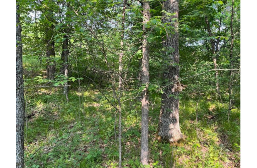 LOT 11 County Road J/14th Drive, Friendship, WI 53934