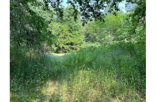 LOT 11 County Road J/14th Drive, Friendship, WI 53934