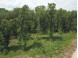 LOT11 Spruce Trail Spring Green, WI 53588