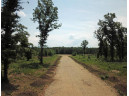 LOT11 Spruce Trail, Spring Green, WI 53588