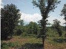 LOT11 Spruce Trail, Spring Green, WI 53588