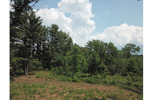 LOT11 Spruce Trail, Spring Green, WI 53588