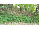 LOT 1 Riley Road, Mauston, WI 53948