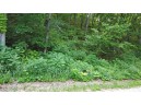 LOT 1 Riley Road, Mauston, WI 53948