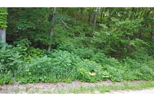 LOT 1 Riley Road, Mauston, WI 53948