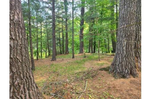 LOT 40 & 41 Redstone Fox Court, La Valle, WI 53941