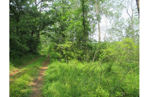 103 ACRES County Road J, Westfield, WI 53964-9999