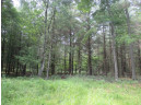 103 ACRES County Road J, Westfield, WI 53964-9999