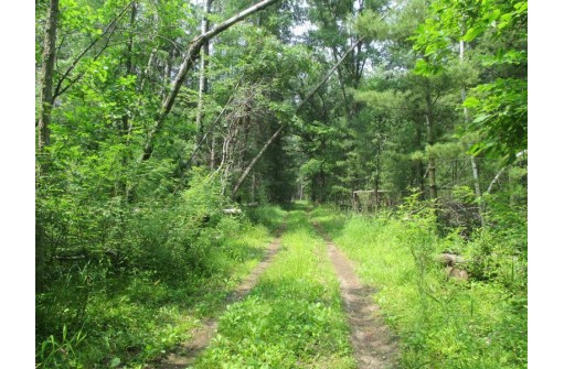 103 ACRES County Road J, Westfield, WI 53964-9999