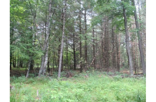 103 ACRES County Road J, Westfield, WI 53964-9999