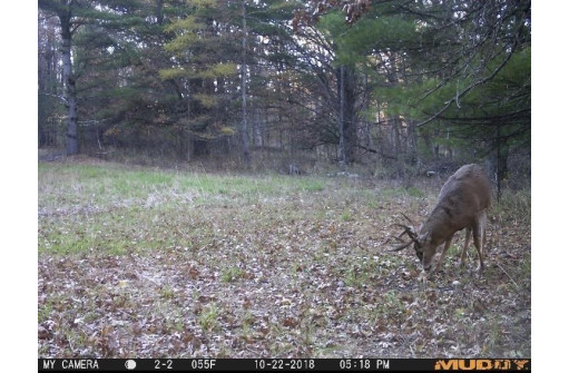 103 ACRES County Road J, Westfield, WI 53964-9999