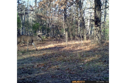 103 ACRES County Road J, Westfield, WI 53964-9999