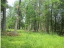 103 ACRES County Road J, Westfield, WI 53964-9999