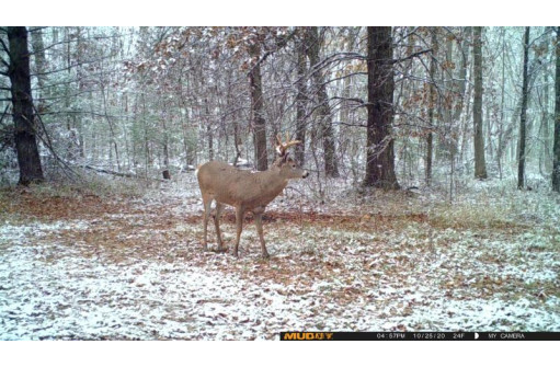 103 ACRES County Road J, Westfield, WI 53964-9999