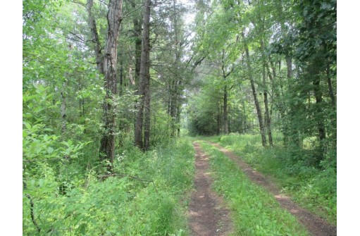 103 ACRES County Road J, Westfield, WI 53964-9999