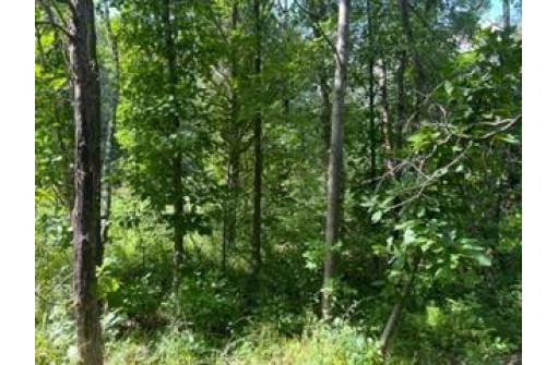 6.45 ACRES Dublin Road, Camp Douglas, WI 54618