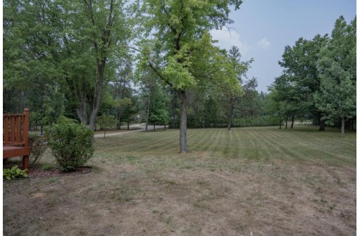 N10338 Queens Way, Necedah, WI 54646