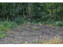 LOT 64 Porter Road, Nekoosa, WI 54457