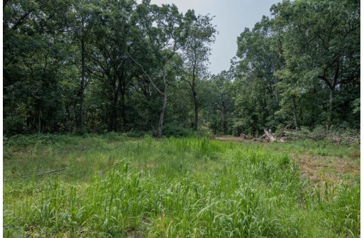 LOT 64 Porter Road, Nekoosa, WI 54457