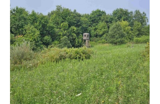 76.78 ACRES County Road Y, Wonewoc, WI 53968