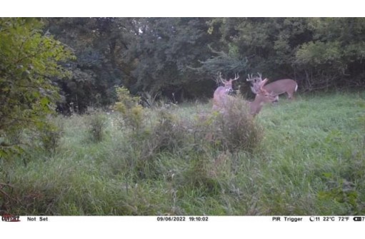 76.78 ACRES County Road Y, Wonewoc, WI 53968