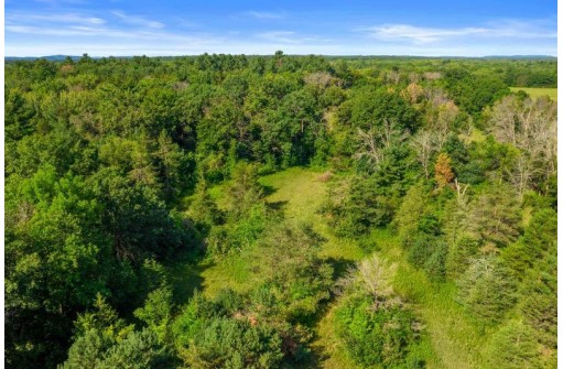 23.03 ACRES Fawn Avenue, Adams, WI 53910