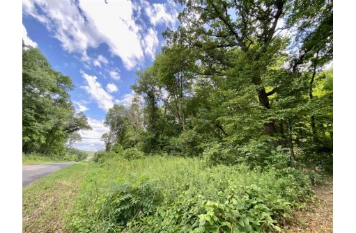 10.28 AC Lark Road, Wisconsin Dells, WI 53965