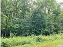 10.28 AC Lark Road, Wisconsin Dells, WI 53965