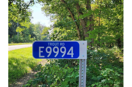 E9994 Trout Road, Wisconsin Dells, WI 53965