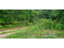 14.76 ACRES Highway 12/16, Wisconsin Dells, WI 53965