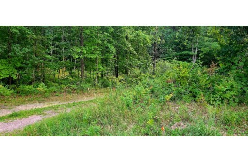 14.76 ACRES Highway 12/16, Wisconsin Dells, WI 53965