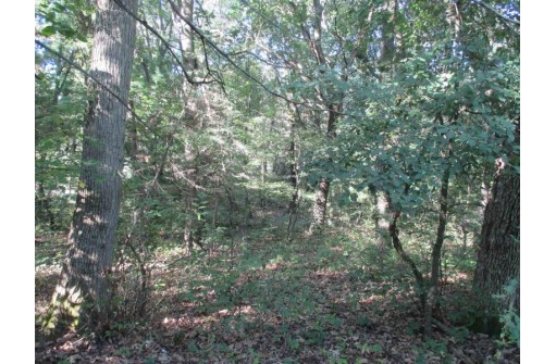 LOT 7 CSM 83A 18th Court, Montello, WI 53949